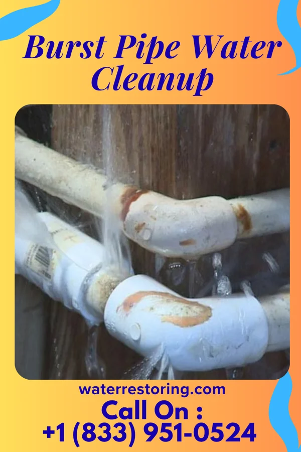 Burst Pipe Water Cleanup in Sparta, MI