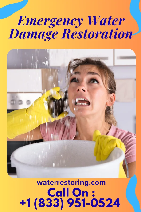 Emergency Water Damage Restoration in Sparta, MI