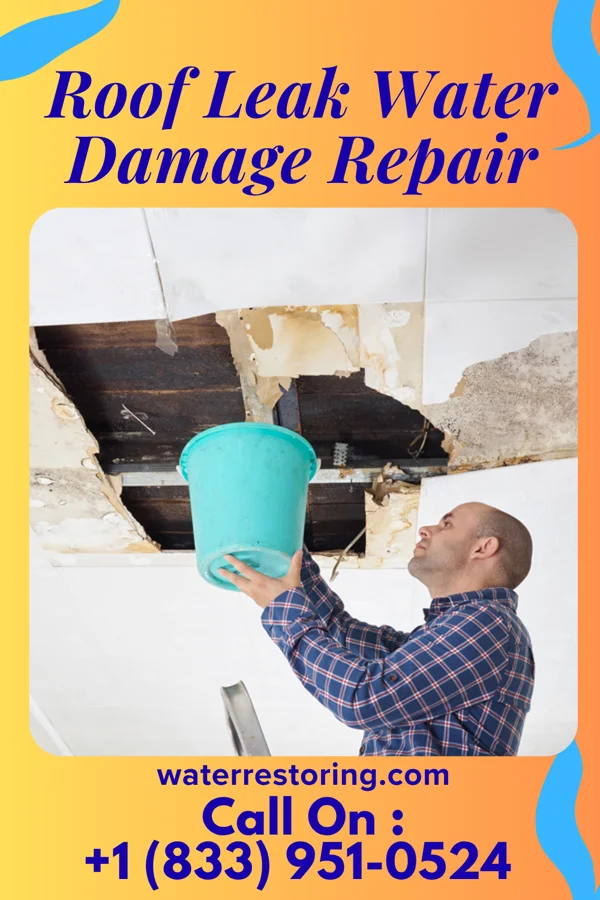 Roof Leak Water Damage Repair in Sparta, MI